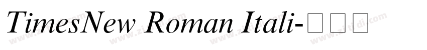TimesNew Roman Itali字体转换
